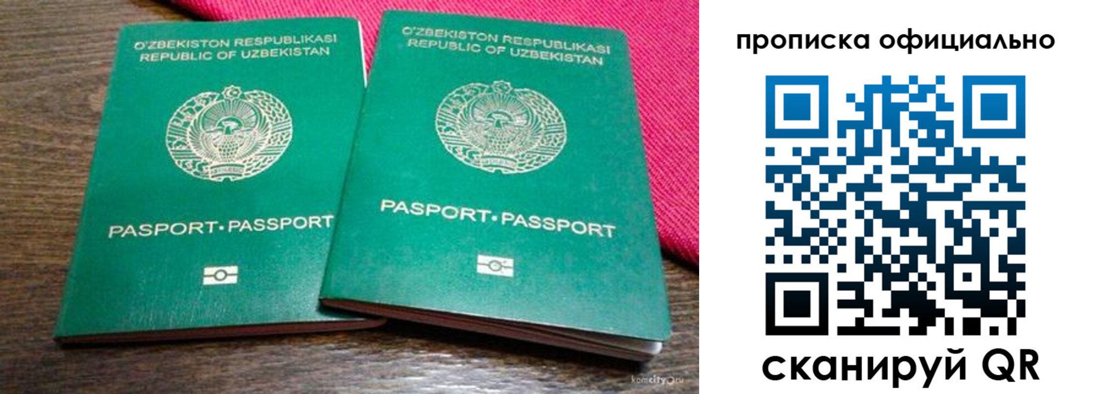 прописка для школы в Лыткарино